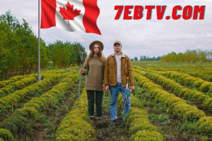 عقود عمل في مزارع كندا براتب يصل إلي 3400 دولار كندي