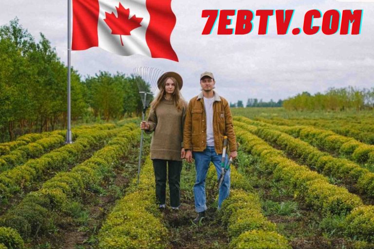 عقود عمل في مزارع كندا براتب يصل إلي 3400 دولار كندي