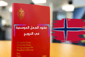 النرويج تبحث عن متطوعين من مختلف الجنسيات للعمل لمدة سنة