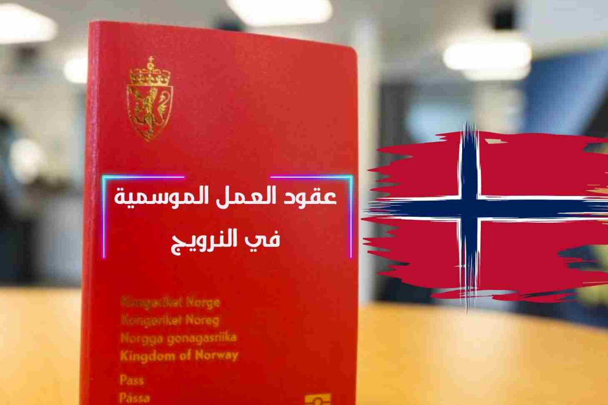 النرويج تبحث عن متطوعين من مختلف الجنسيات للعمل لمدة سنة
